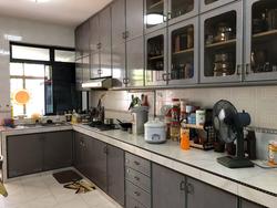 Phillips Avenue (D19), Terrace #215068431